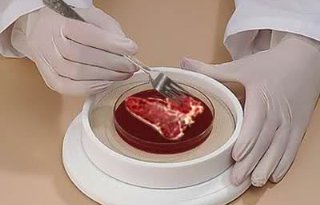 Kweekvleesmaker Meatable houdt na geldproblemen op te bestaan