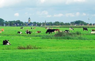 Friese regio Greidhoeke focust op gezond en lokaal voedsel