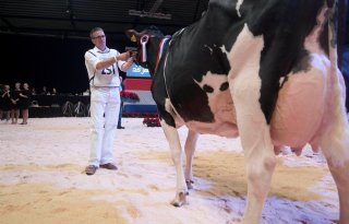 Veehouder Harm Albring in bestuur LTO-vakgroep Melkveehouderij