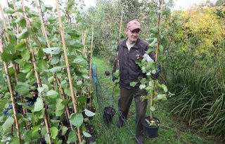 Biologische teler zet voedselbosplanten klaar voor tuincentrum