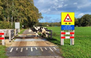 Uitbreiding Brabante biodiversiteitsmonitor voor melkvee een feit