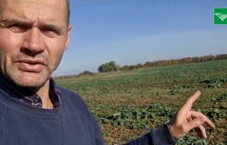 Oekraïne-vlogger Kees Huizinga: 'Speculaas, pepernoten en oranje T-shirts'