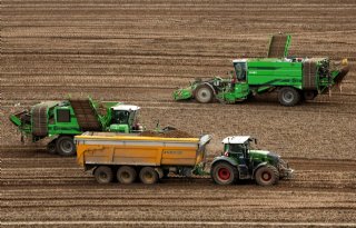 In EU4-landen zit 1,4 miljoen ton aardappelen nog in de grond