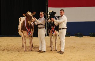 Heerenbrink Angelina en Twente Dairies Incredibull Mel algemeen kampioenen HHH