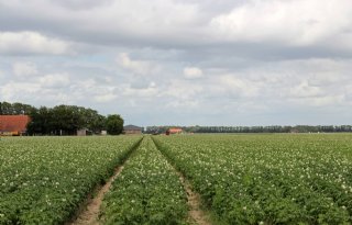 Uitgebreide veldproeven bewijzen waarde organische meststof Herbali