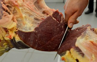 De Groene Weg biedt biologisch rundvlees uit Nederland aan