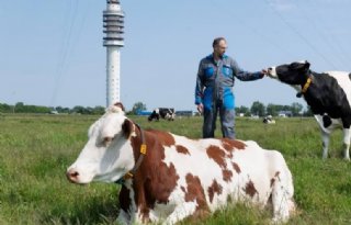 Dutch Dairy Challenge: voorgangers over hun ervaringen