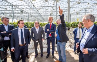 Glastuinbouw Nederland: uitslag leidt hopelijk tot rendabele topsector