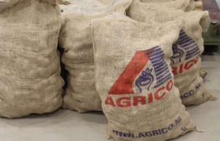 Agrico sluit overeenkomst voor levering pootgoed naar Tanzania