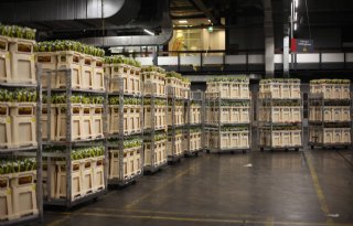 FloraHolland sluit lening af waarbij rente is gekoppeld aan duurzame doelen