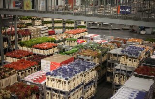 'FloraHolland zet eigen leden voor het blok'