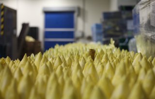 The Greenery en BelOrta versterken positie met FreshAlliance