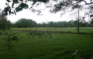 Boereninititiatief krijgt halve ton van provincie

