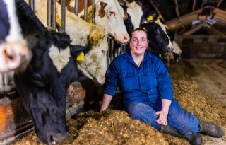 Melkveehouderij van familie Van der Meulen gaat van Rottevalle naar Frieschepalen