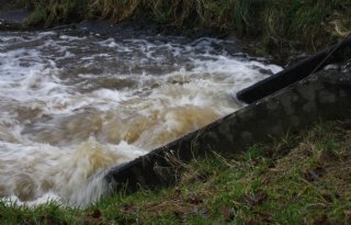 Waterbergingsgebied Willeskop beschermt boeren tegen wateroverlast