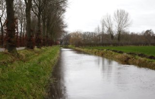 Nederland+vraagt+om+soepelere+beoordeling+van+kwaliteit+oppervlaktewater