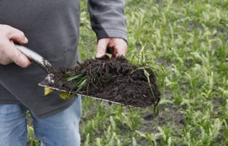 Miljoenen voor onderzoek naar gezonde landbouwbodems Noord-Nederland