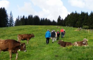 Beierse cursus omgaan met koeien voor boeren en burgers