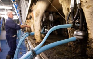 Duitse melkprijs stijgt in november met 0,91 euro