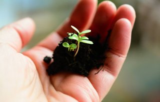 Genomineerden Tuinbouw Ondernemersprijs blinken uit in duurzaamheid en circulariteit