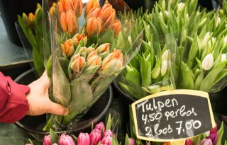 Breder+draagvlak+in+omzetgroei+bloemen+op+FloraHolland