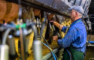 Zuivelhandelaren aan het rekenen door handelsoorlog