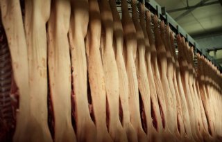China onderzoekt dumping Europees varkensvlees, EU maakt zich geen zorgen