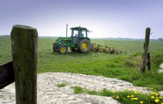 Noord-Brabant koopt landbouwgrond op voor langjarige extensivering