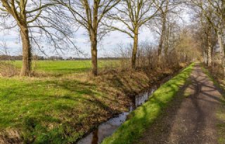 Nederlands-Duitse grondruil helpt boer en Natura 2000-gebied