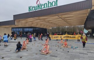Naakt protest van Extinction Rebellion bij opening Keukenhof