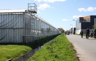 Glastuinders testen met stroken naast kassen voor aantrekken biodiversiteit