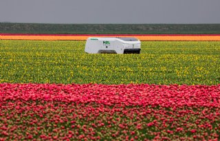 Robotisering wint terrein op boerderij, AI vaak nog blinde vlek
