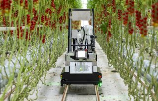 Introductie nieuwe plukrobot voor cherrytomaten