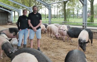 Biologische varkenshouderij met focus op kringlooplandbouw wint Agroscoopbokaal