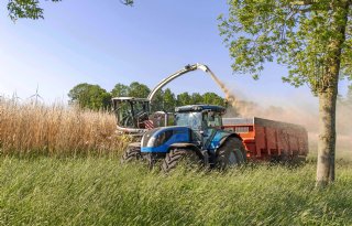 Waterschap biedt vergoeding voor transitiegewassen