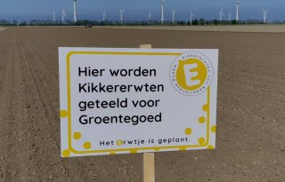 Eerste kikkererwten gezaaid in Nederland