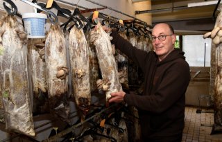 Stadsboeren kweken oesterzwammen op koffieprut