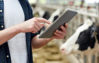 Adviesbureaus: 'Deadline van 1 juli is voor veehouders onhaalbaar'