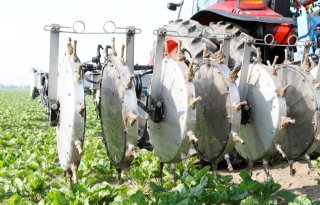 Renure biedt kansen voor akkerbouw, mits het past bij gewasteelt