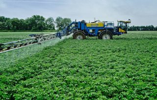 Bladbemesting met fosfaat bevordert hogere aardappelopbrengst