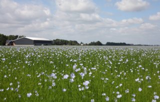 Platform Akkerbooster jaagt innovatie in akkerbouw aan