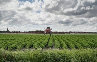 PBL: akker- en tuinbouw loopt tegen grenzen aan