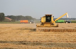 Landbouwprijzen dalen in eerste kwartaal, graan zakt het sterkste