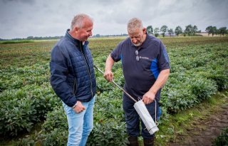 Aaltjesonderzoek is basis voor de gewassenkeuze