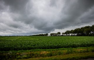Hagel en storm doen schade in grensgebied