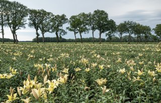 'Kies zorgvuldigheid boven angstzaaierij rondom gewasbescherming'