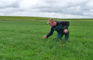 Terschelling proeftuin voor klimaataanpassing