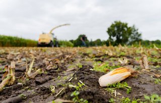 Feedanalyses: risicobeheersing in de voerproductie