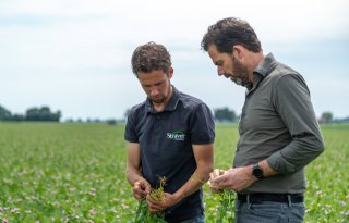 HAK wil intensiever samenwerken met groentetelers