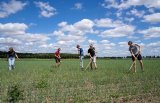 Jonge+boeren+samen+aan+de+slag+met+teelt+van+gewassen